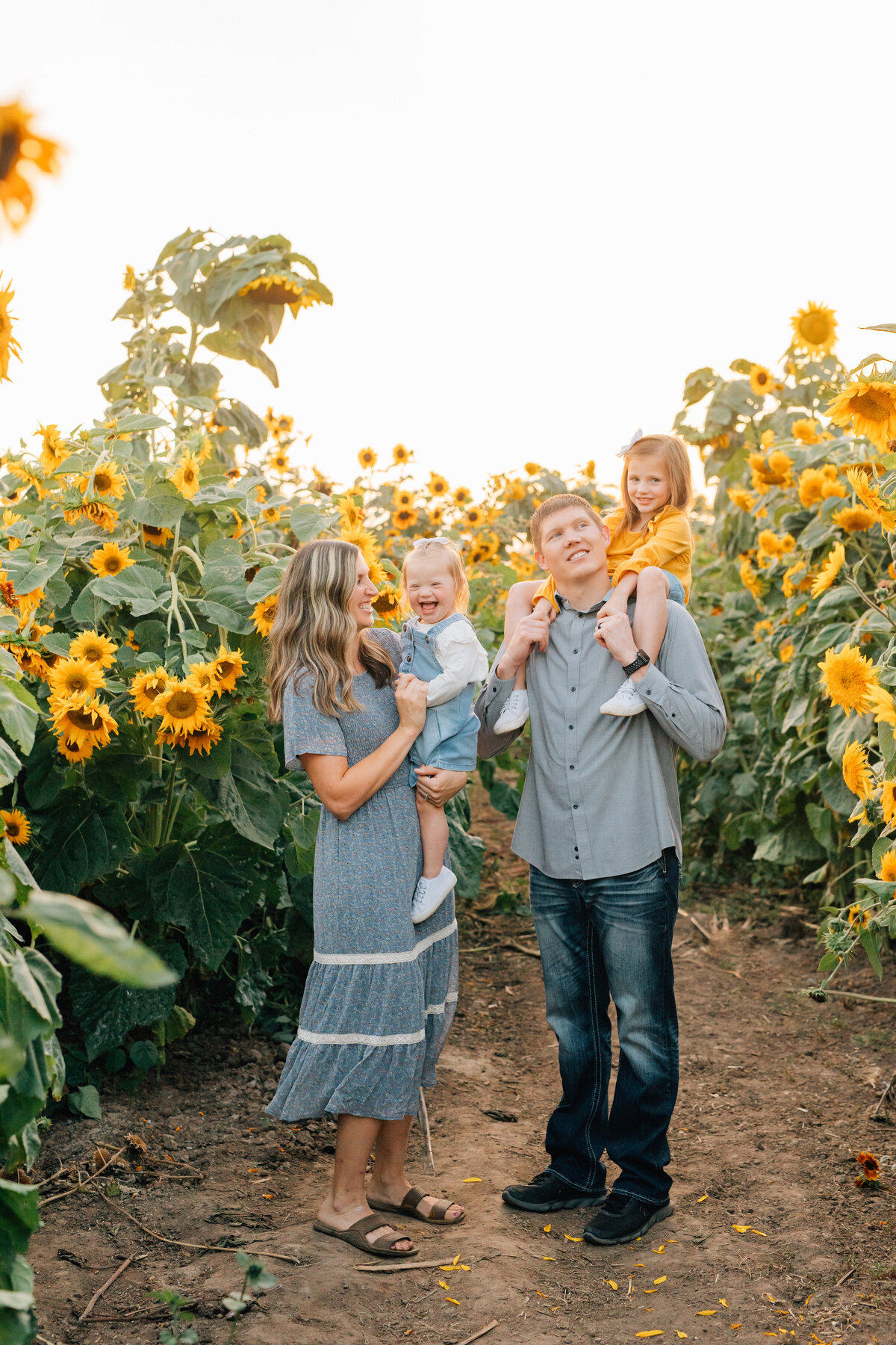 Utah Family Photos in sunflower field