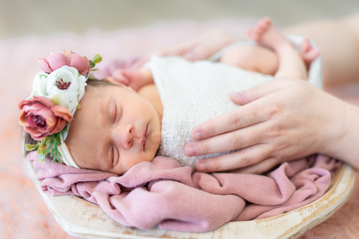 Baby Esmeralda Rose-58