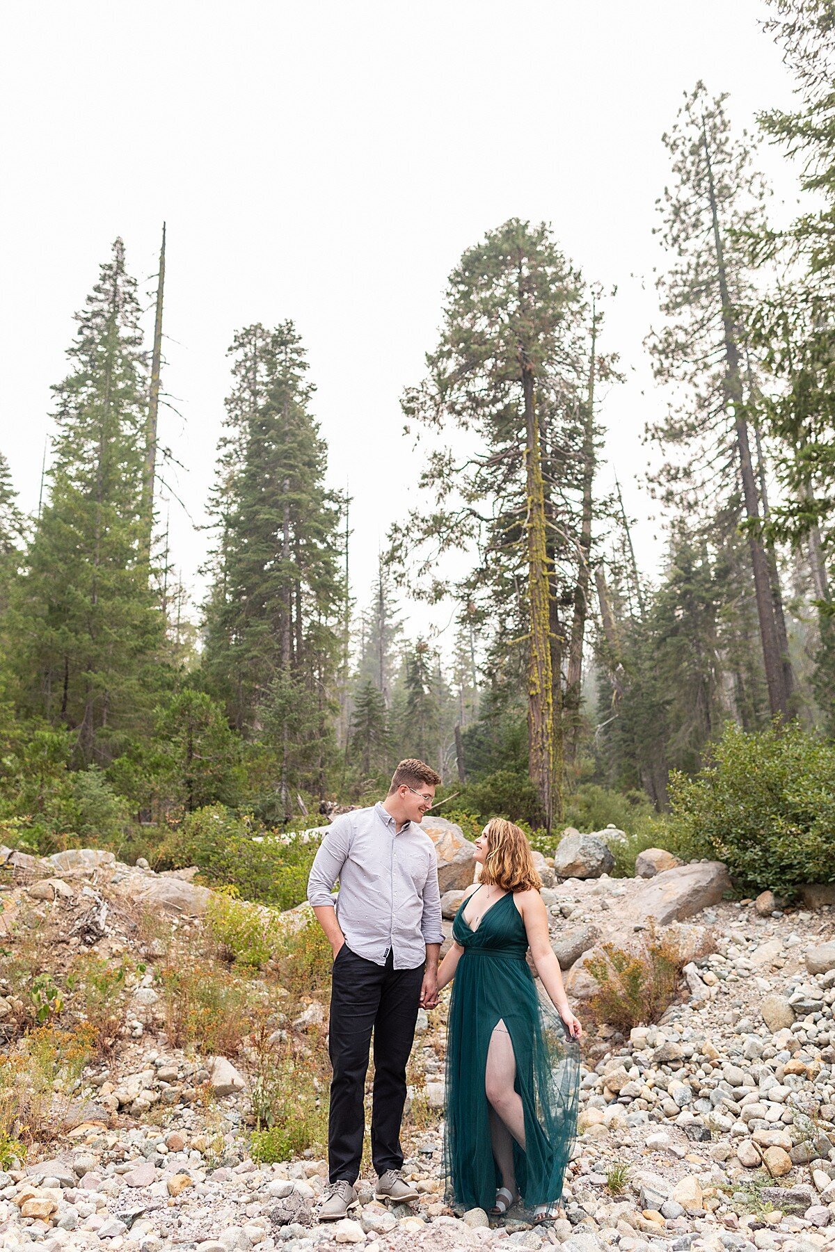 Engaged couple holding hands near tall pine trees