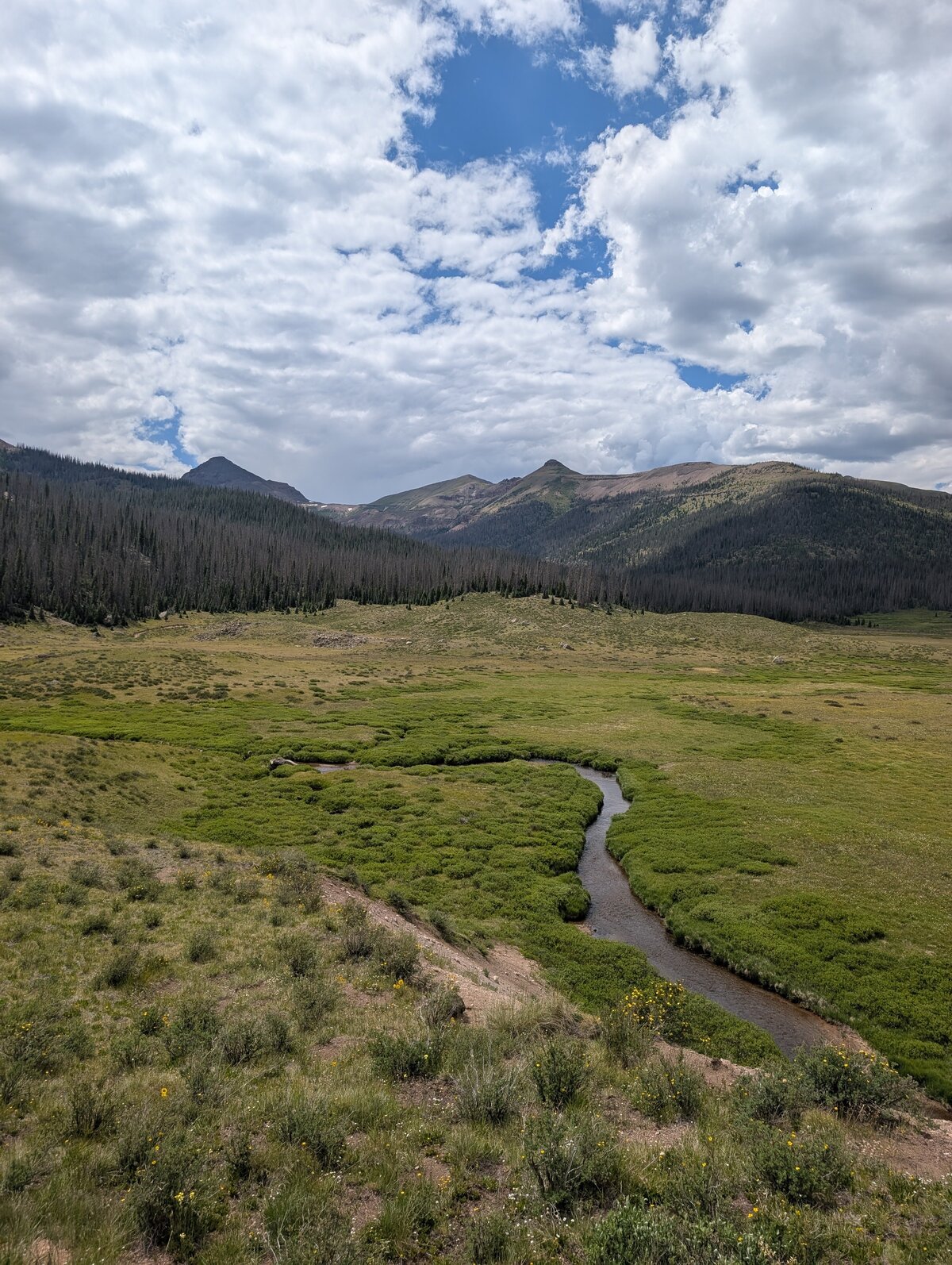 PXL_20250709_212243067.RAW-01.MP.COVER