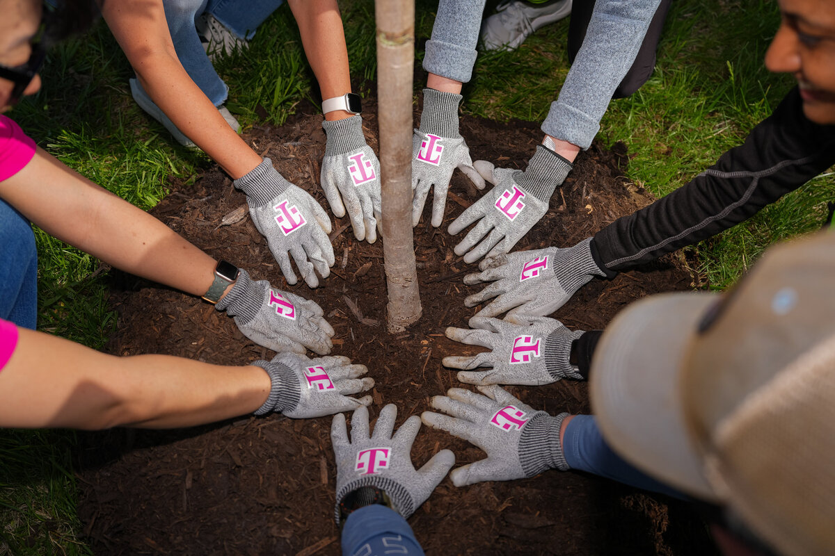 kansas-city-event-photography-0454-hands-planting-tree-charity