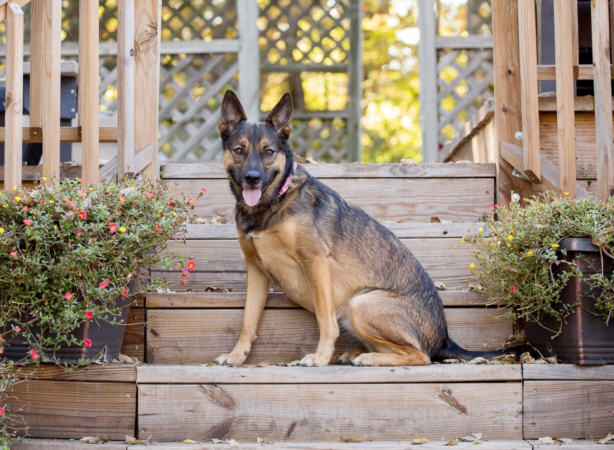 Karra Kostya Photo - Hounds Hashtag Headshots_0259