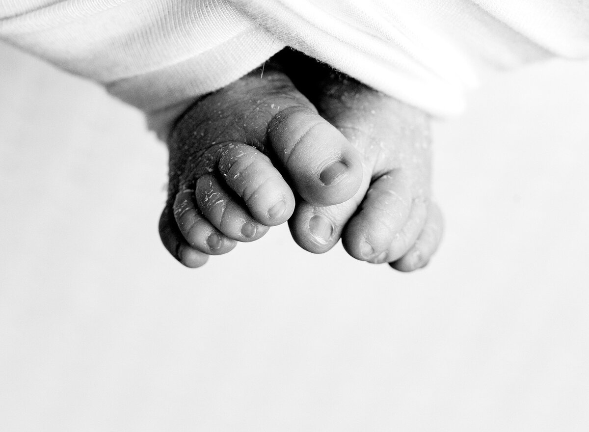 tiny newborn toes taken from a birds eye perspective  with a macro lens shown in black and white