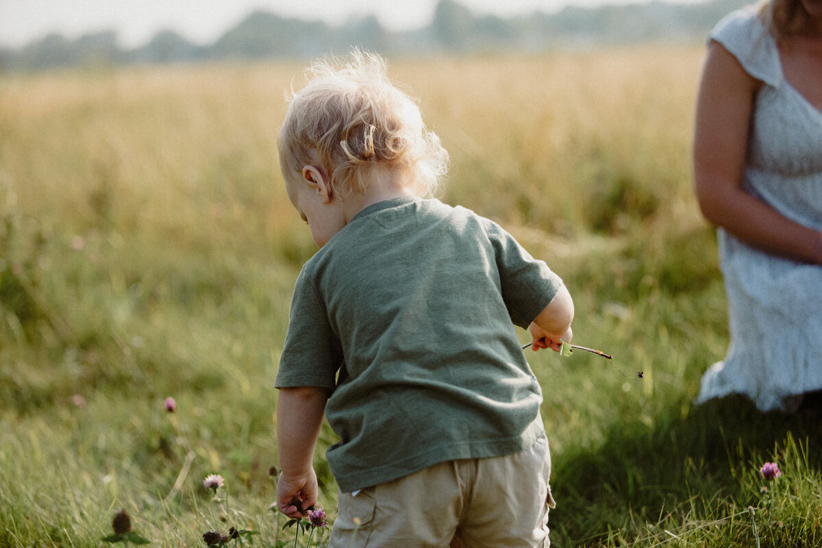 little boy picking up wild flowers
