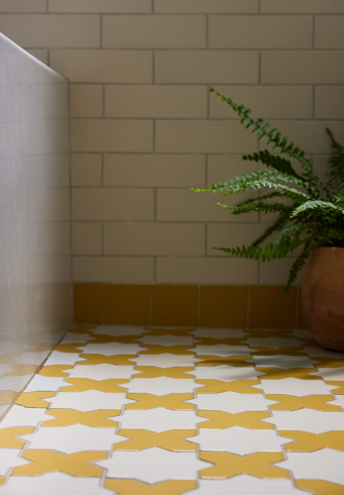 casa-renewal-4