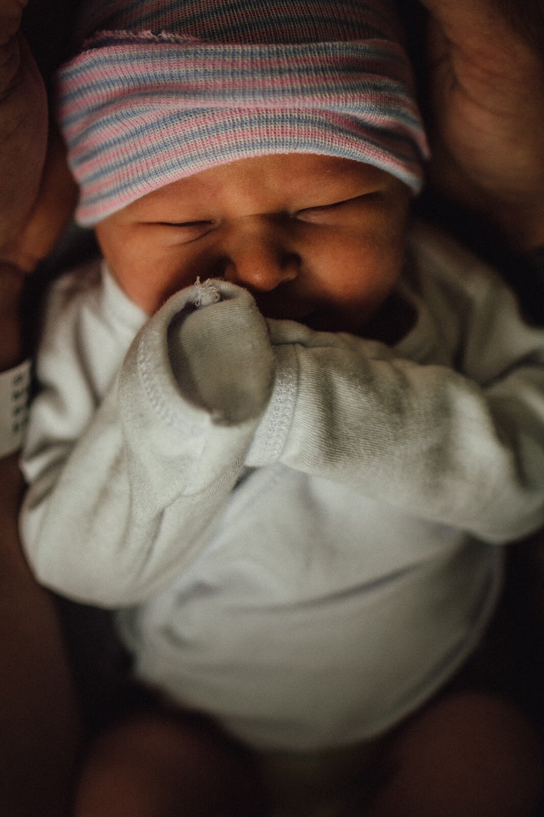 Beneath the Trees Photography Michigan Newborn Photographer 4