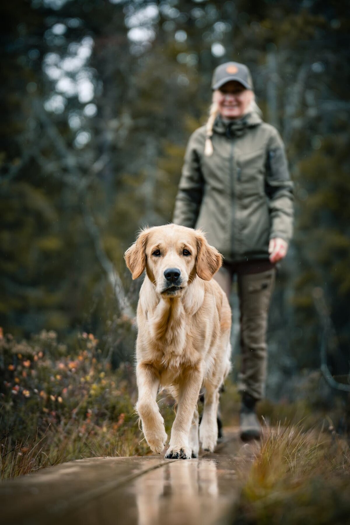 Hundfotograf-hundfoto-porträtt