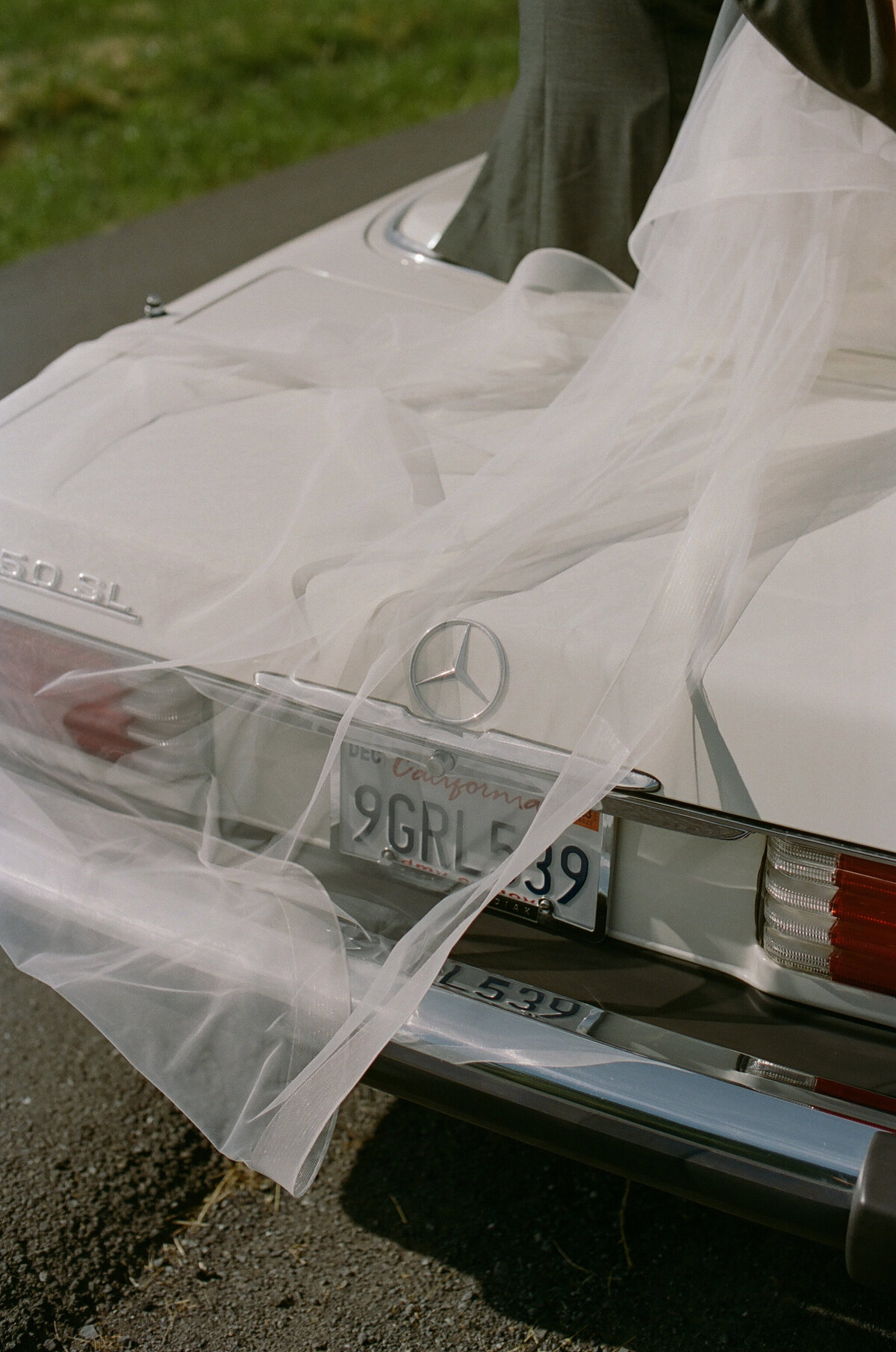 tori-dermott-659 (1)