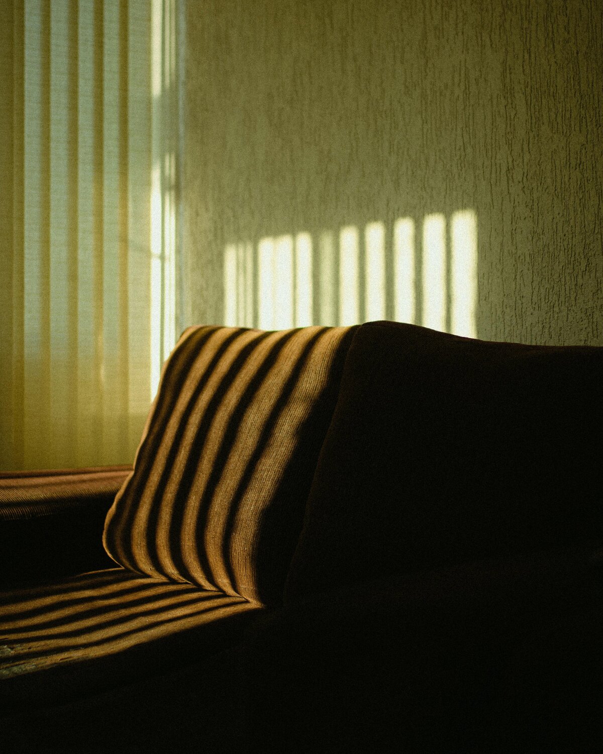 couch in the sun with shadows
