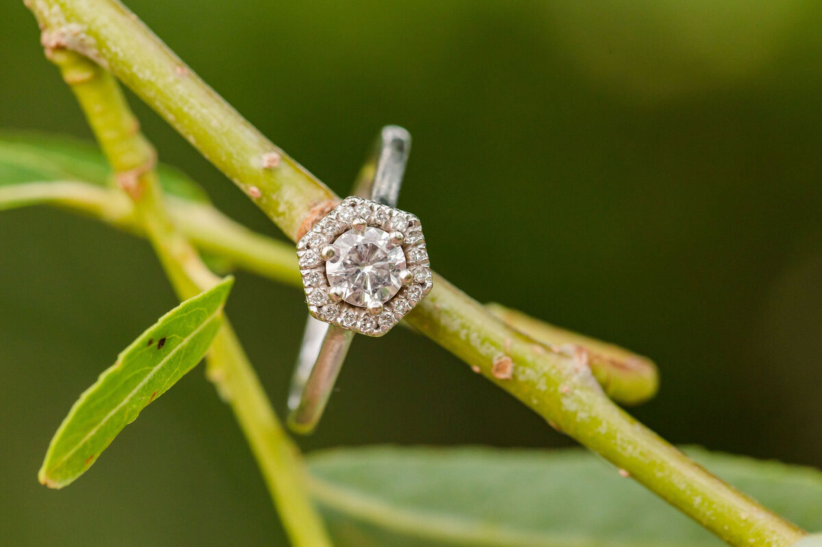 HGP-LexieandCorey-EngagementSession(185of238)