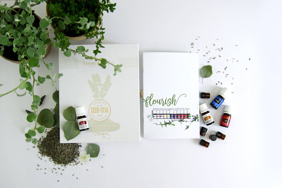 Young Living booklet, YLEO tools, Intro to Young Living