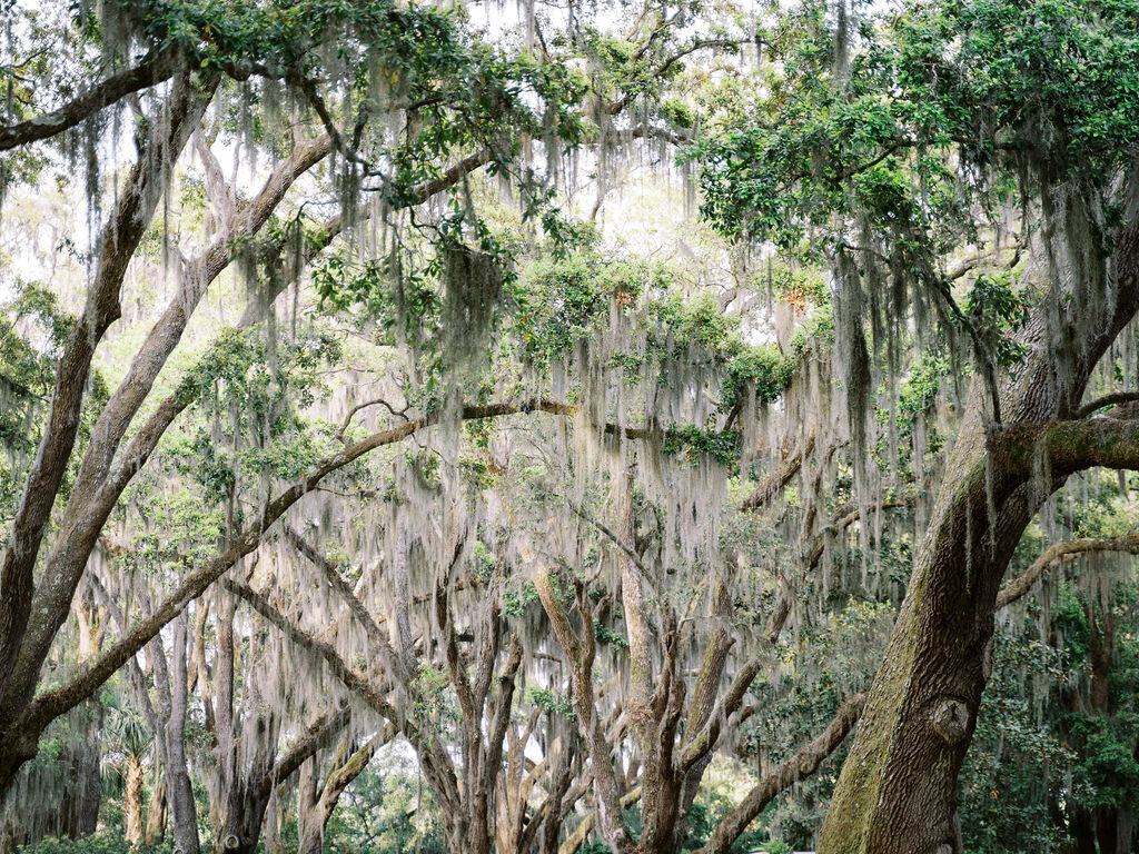 Kiawah-Wedding-Planner-For-Love-of-Love-32