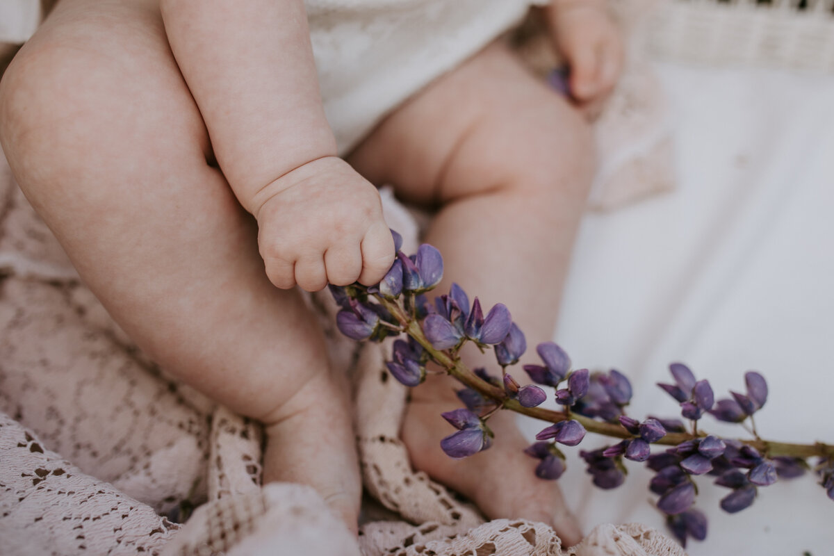 YarrowSideCreatives-LupineMini-41