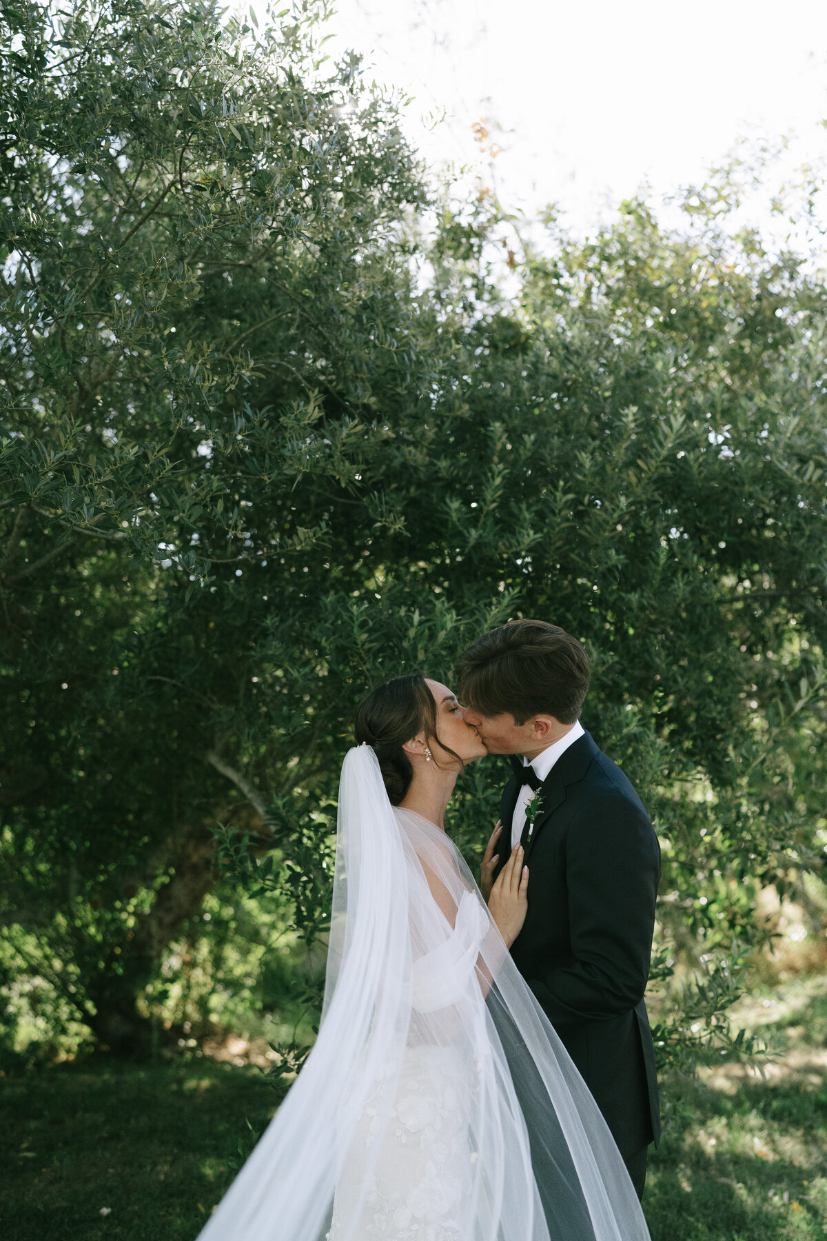 Intimate Wine Country Wedding in Sonoma, California