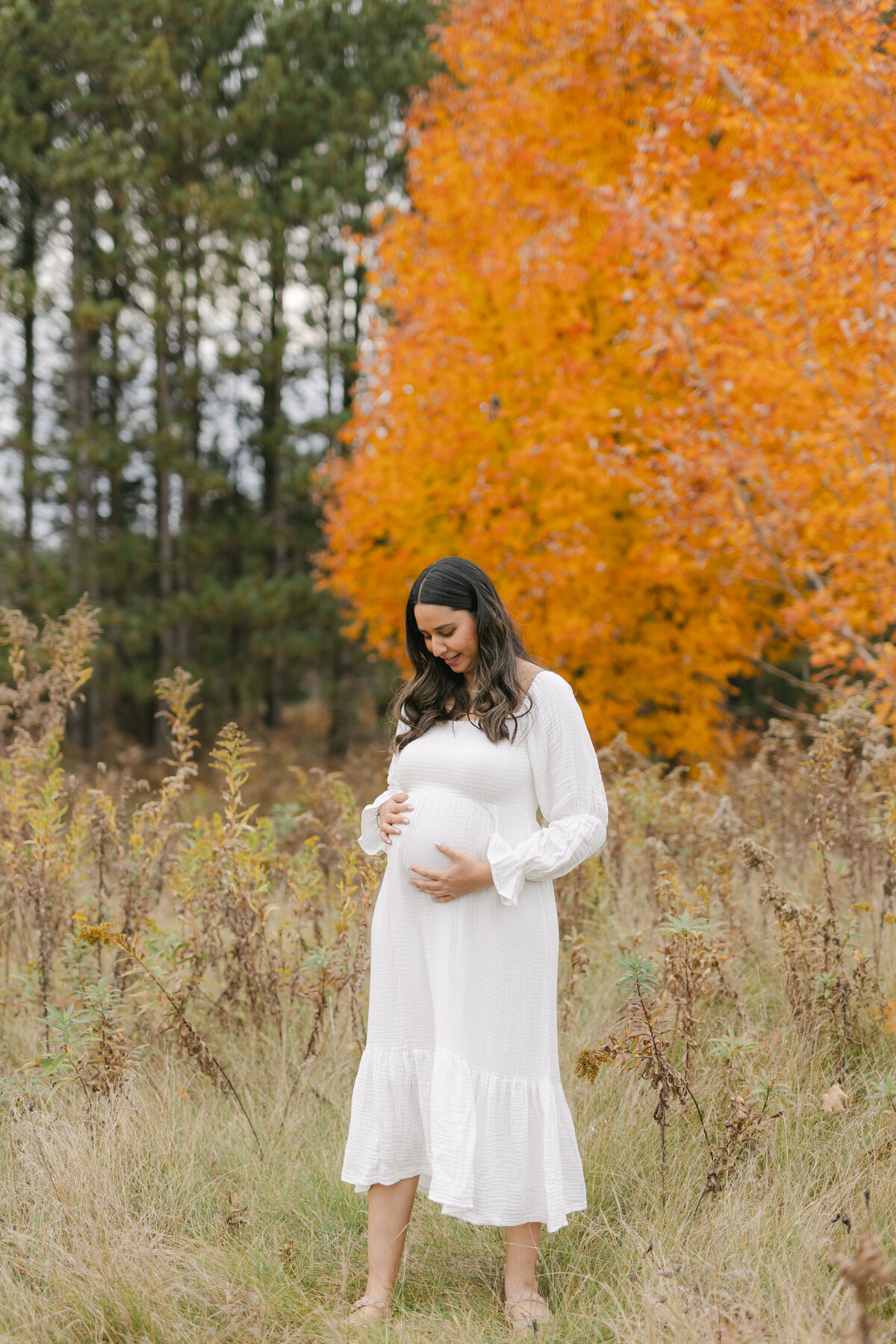 pregnant woman in cream dress in front of orange tree by Toronto Maternity Photographer