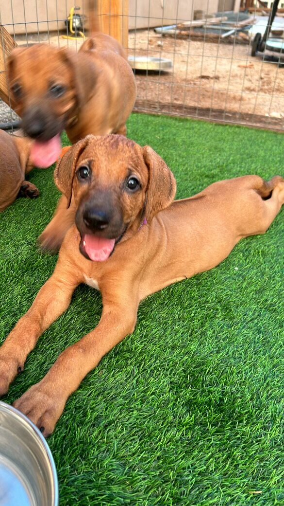 6F4E6C76-8838-4853-810E-0EE2B9FE1BBC