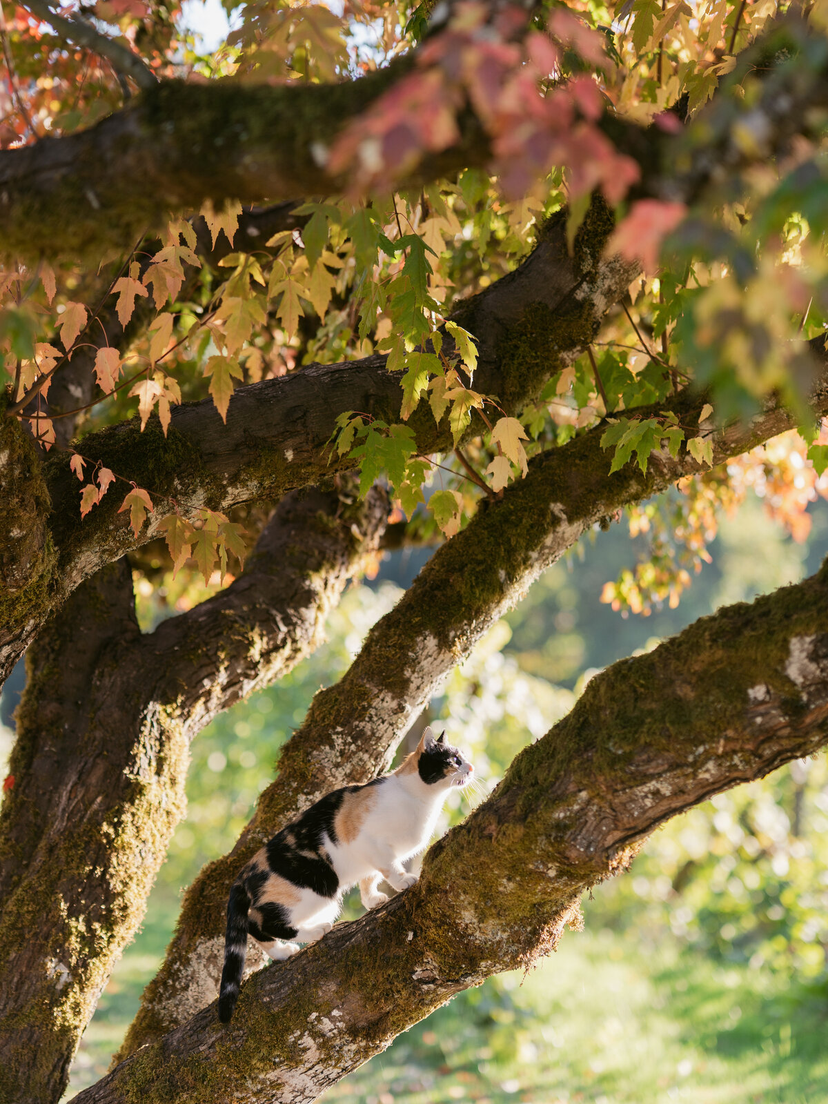 bend-portland-oregon-wedding-photographer-48