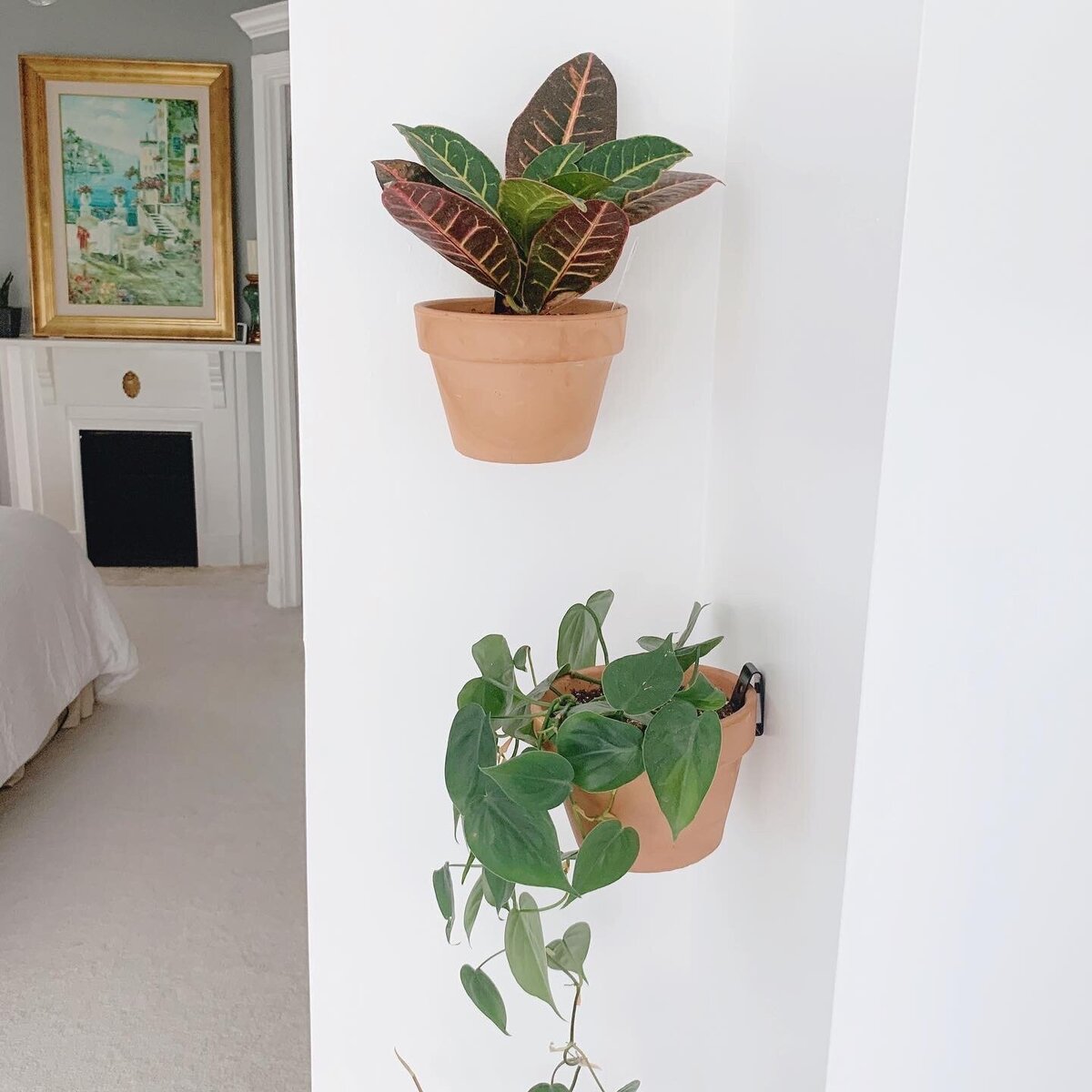small houseplants in wall planters outside of a bedroom door