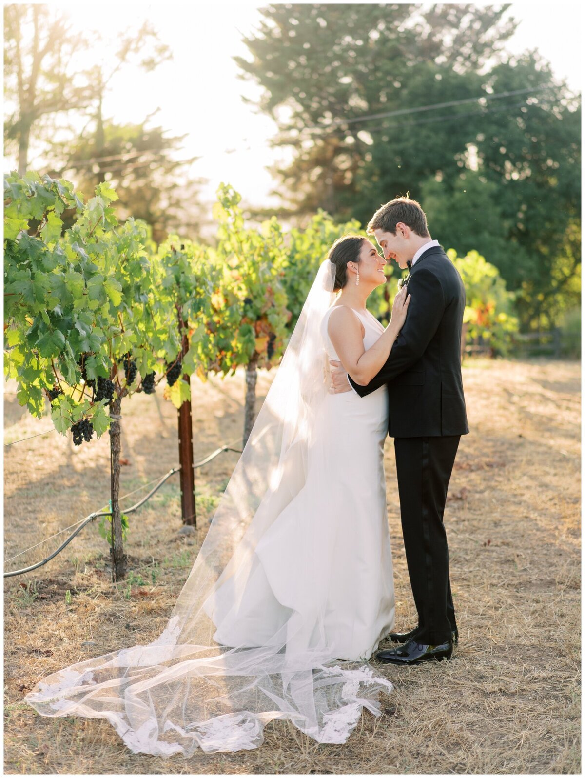 Kelsey-Alex-Sonoma-Buena-Vista-Winery-Wedding-Cassie-Valente-Photography-0162