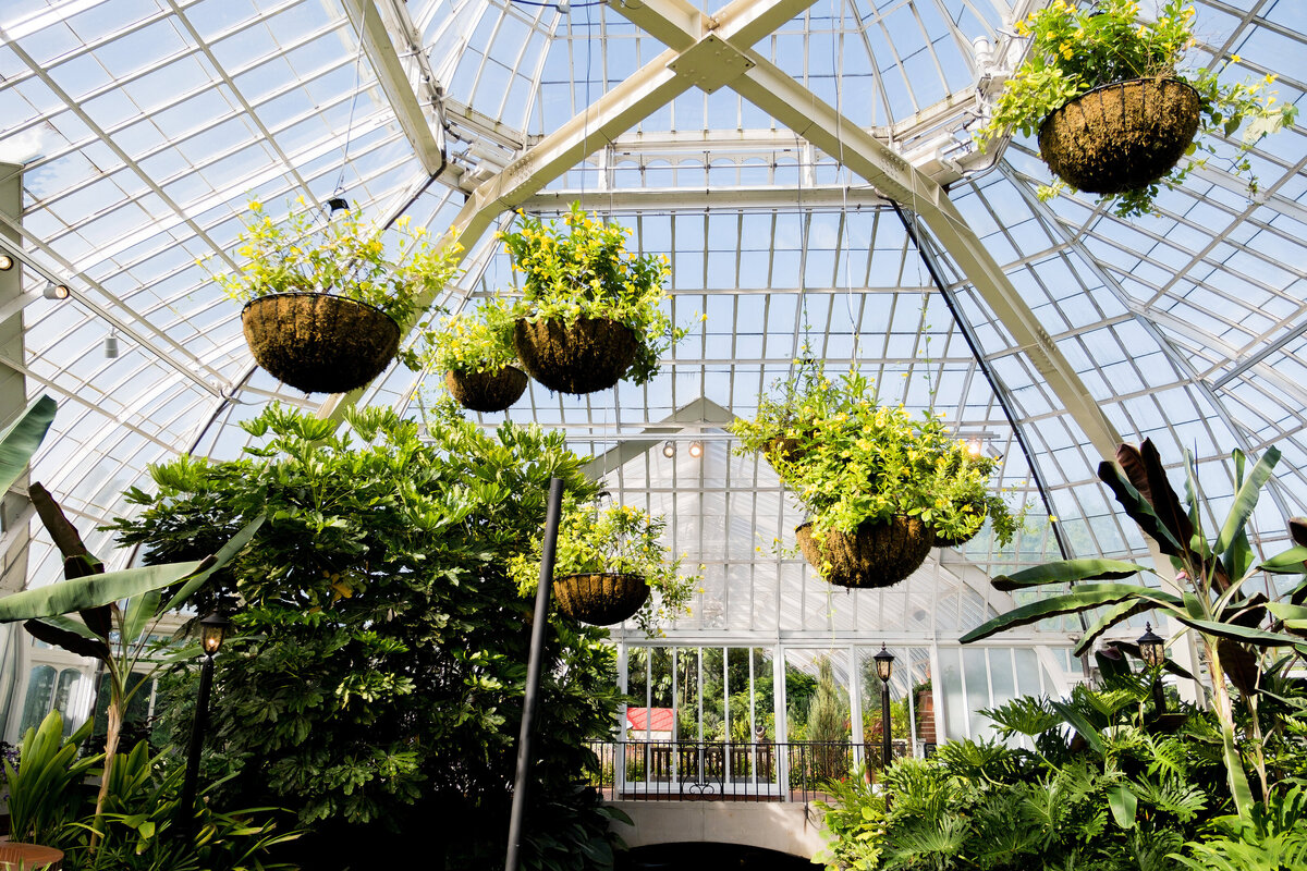 big glass room at phipps conservatory