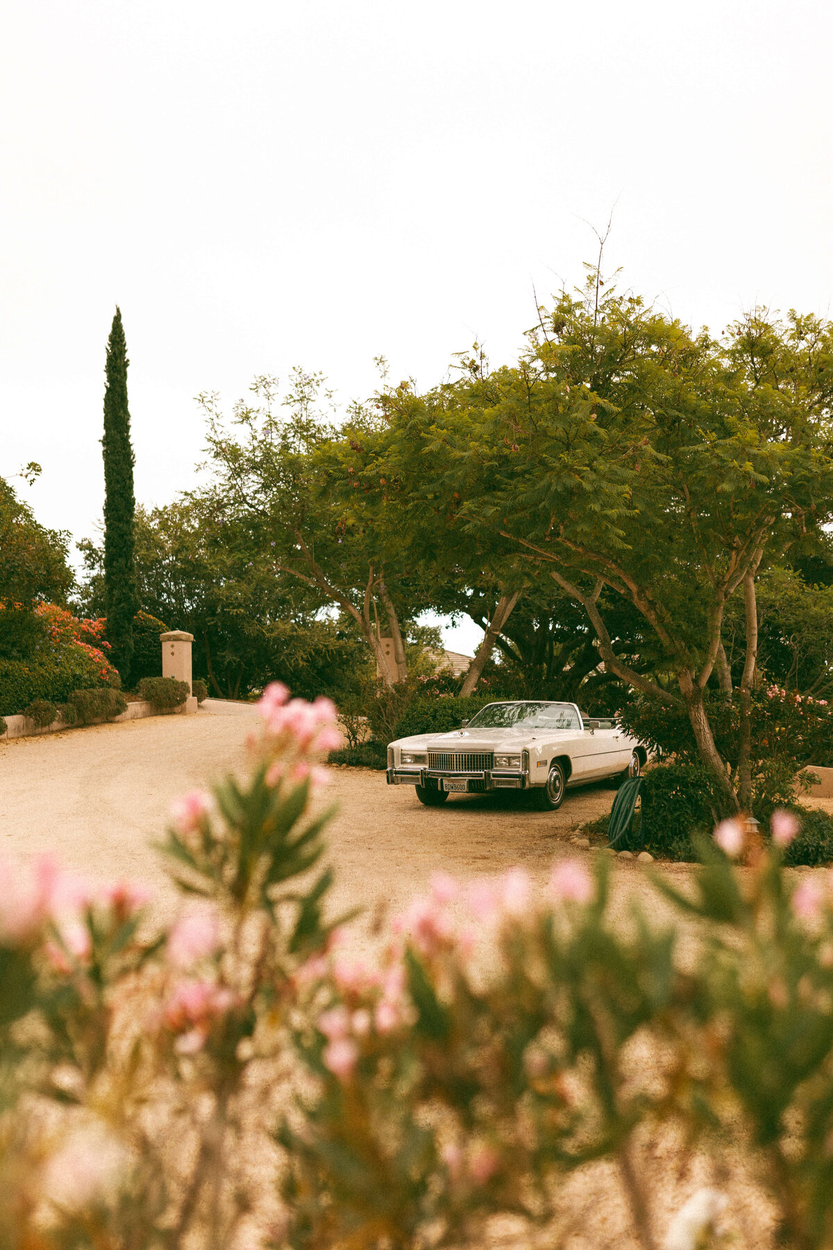 TheWedding-1183