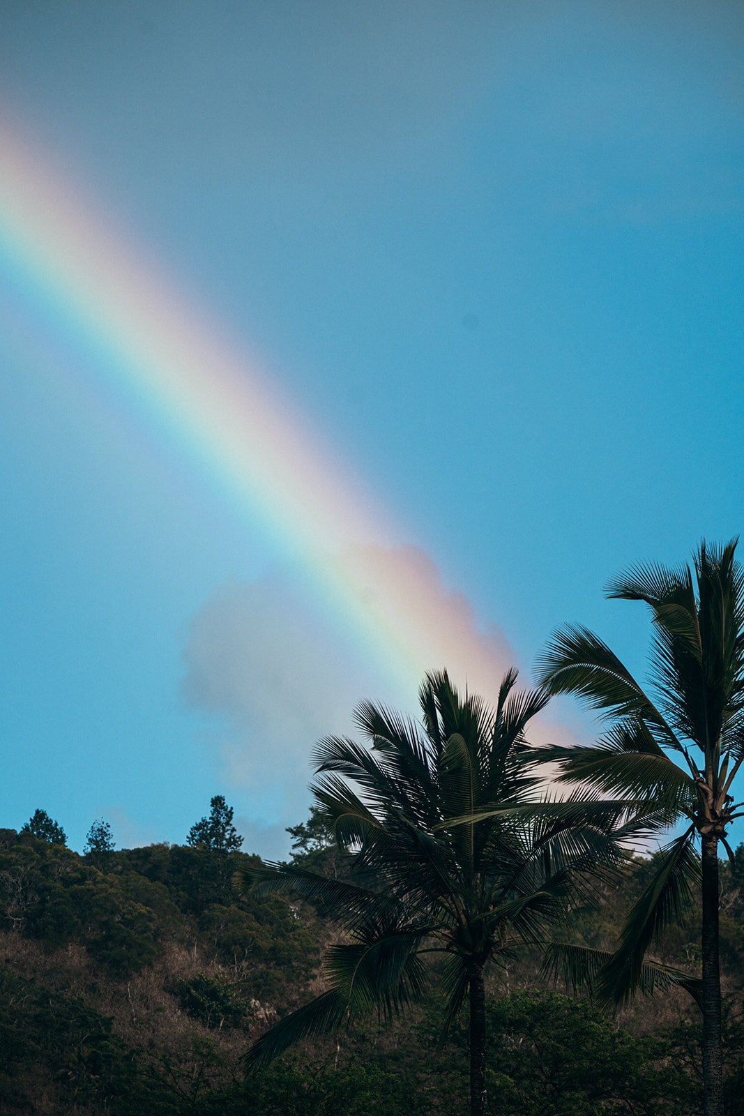 Rachael-Zimmerman-Photography-Denver-Colorado-Maui-Hawaii-LGBTQ-Adventure-Photographer-Landscape-97