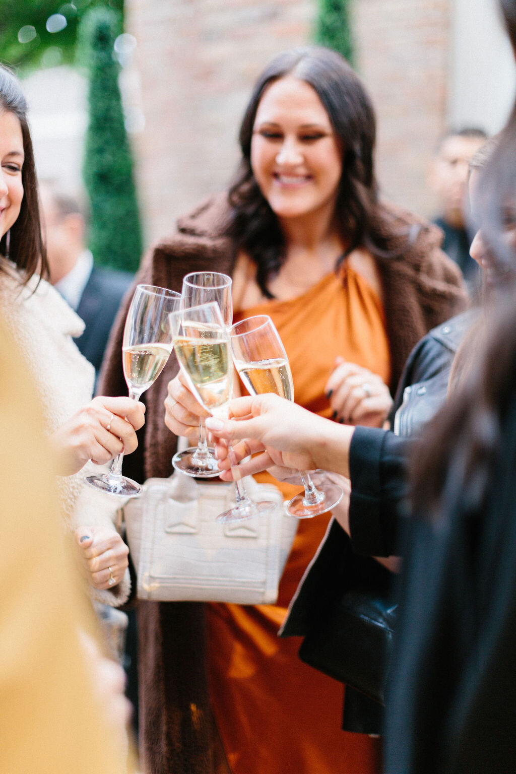 Wedding Guests Toasting