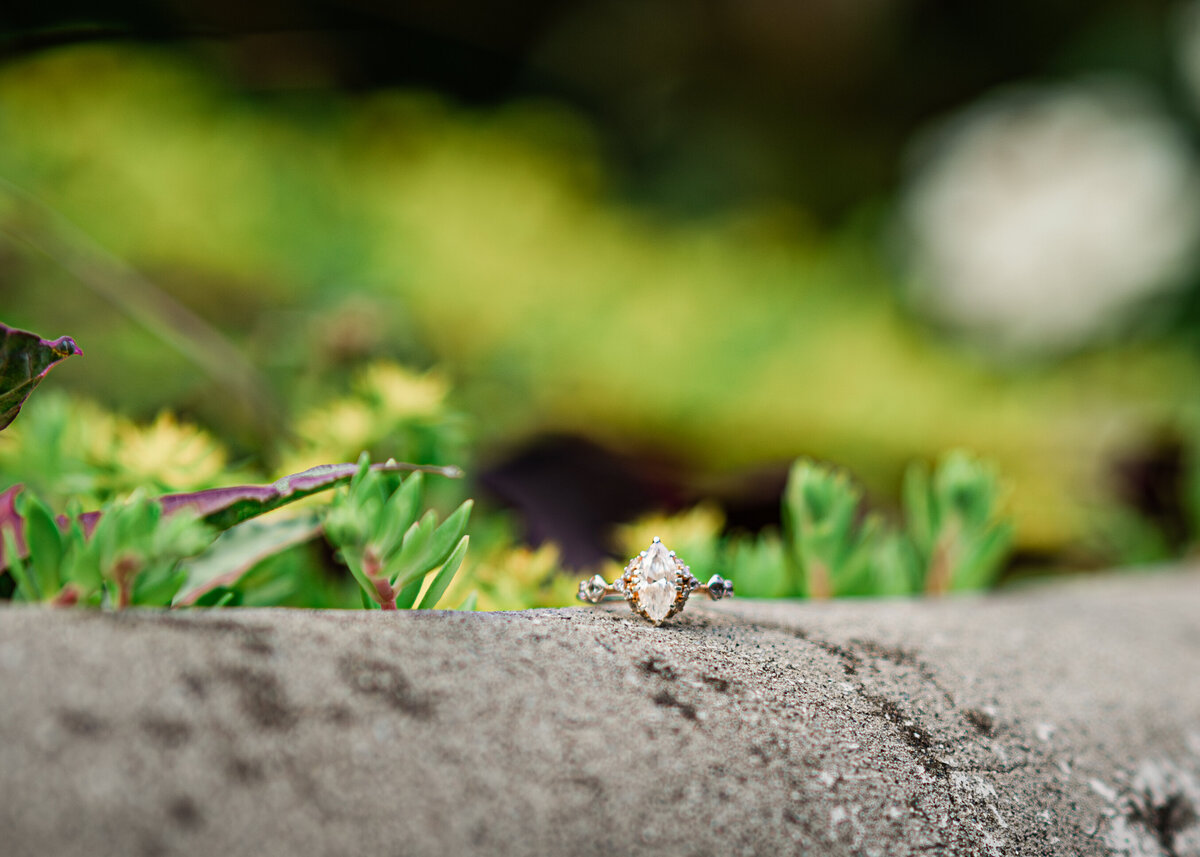 _DSC7397-Enhanced-NR