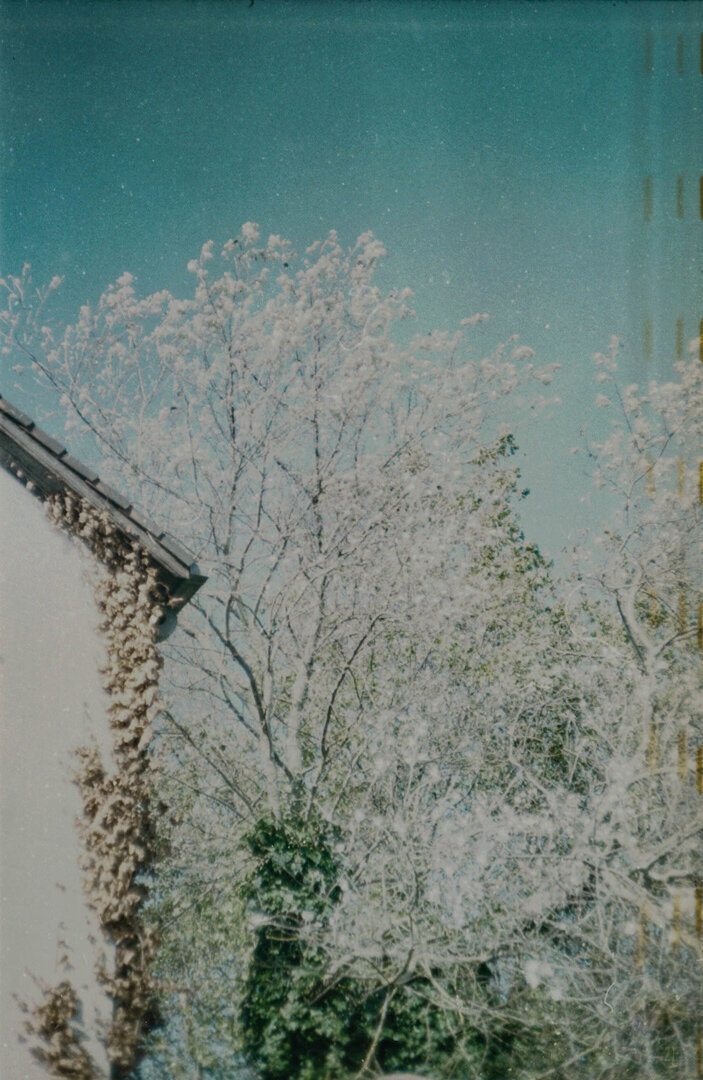 Fotoreeks_Observations_3