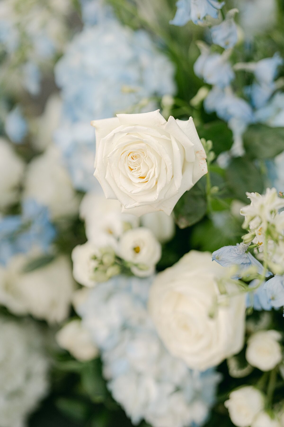Hotel Carmichael Wedding Alison Mae Photography_1900