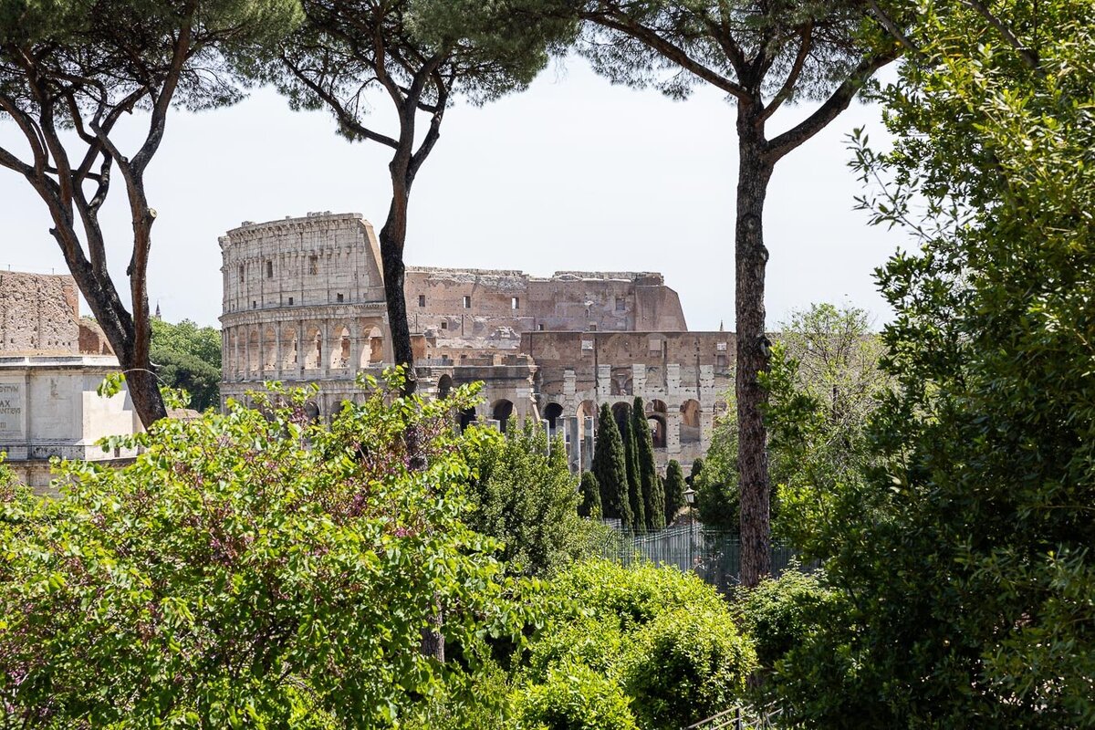 italy-rome-colosseum-palatine-hill-8575