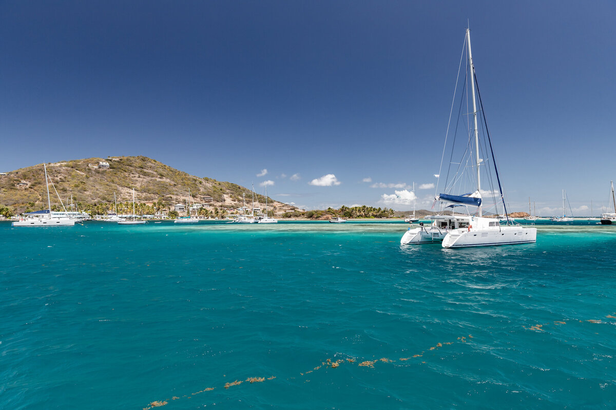 st vincent grenadines la perle rare1