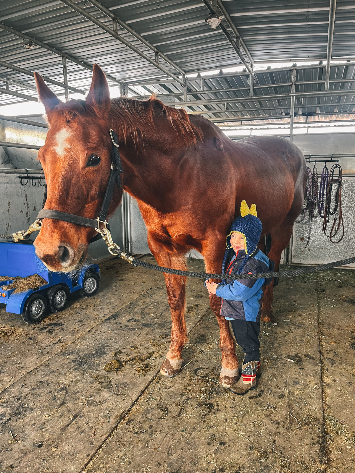 Photo Dec 29 2022, 3 50 08 PM