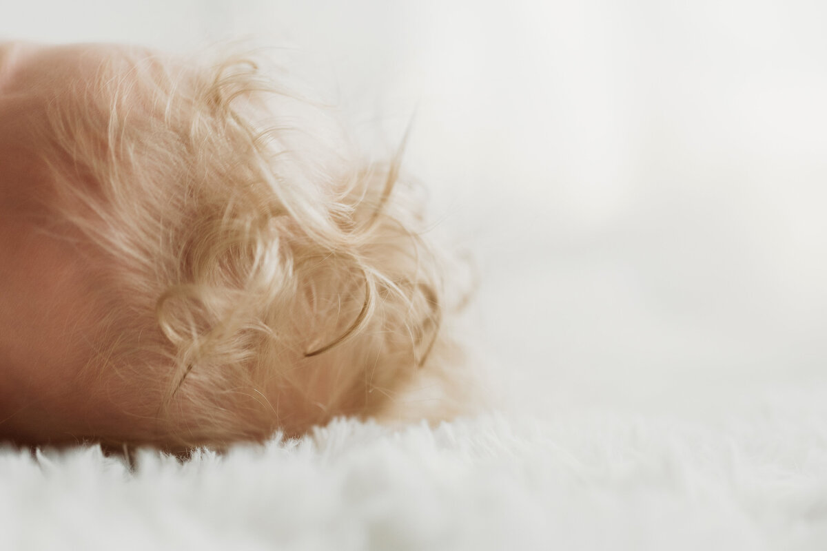 A close up of a six month old's curly hair during a milestone session in Denver. 