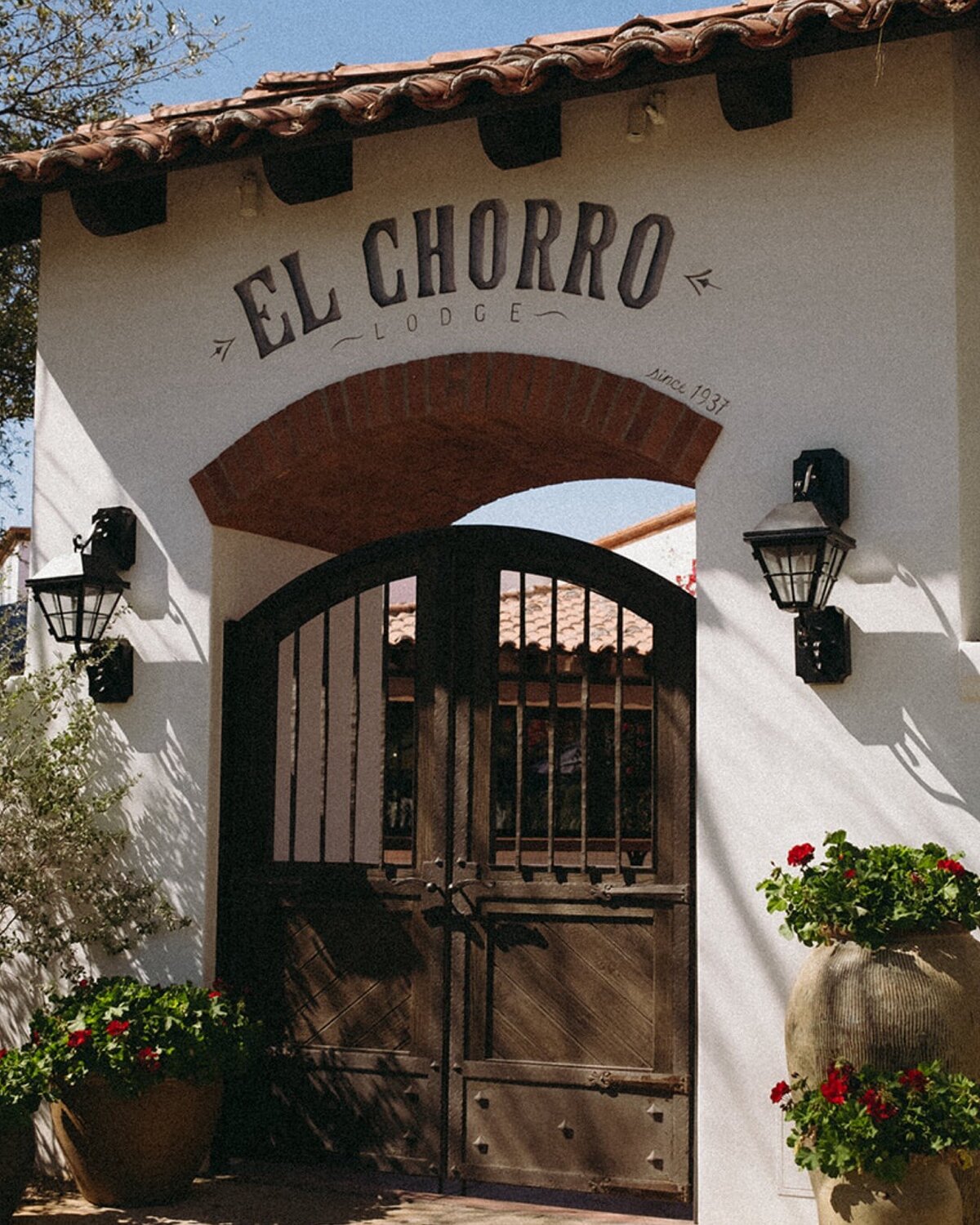 F2FE9B73-227D-42B2-A579-27101AEC174F