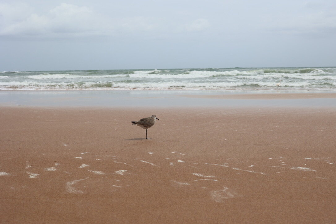 8A3EC6B4-D5B0-425C-AEFD-3961AF0BEA3C_1_105_c