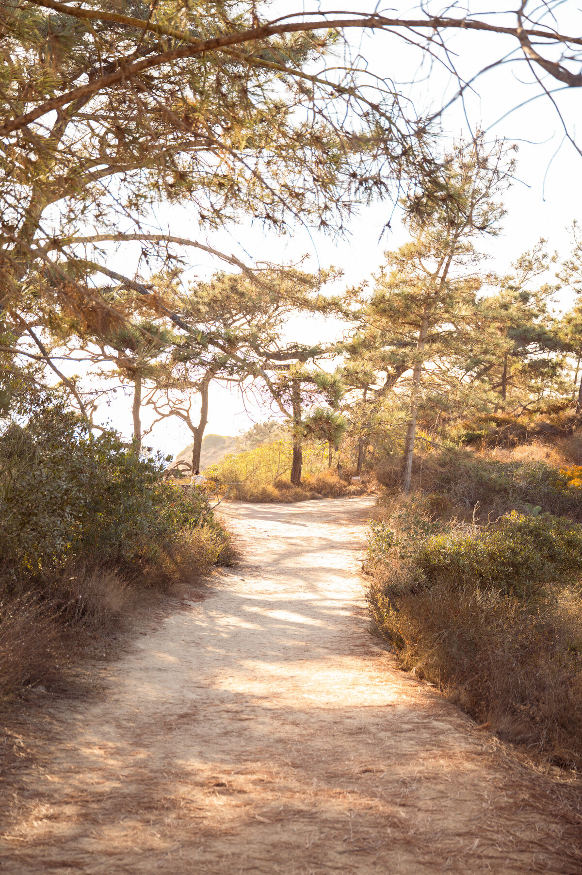 low res portfolio 2025-35