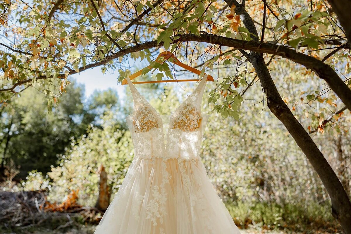 weddingphotoscoloradosprings-2