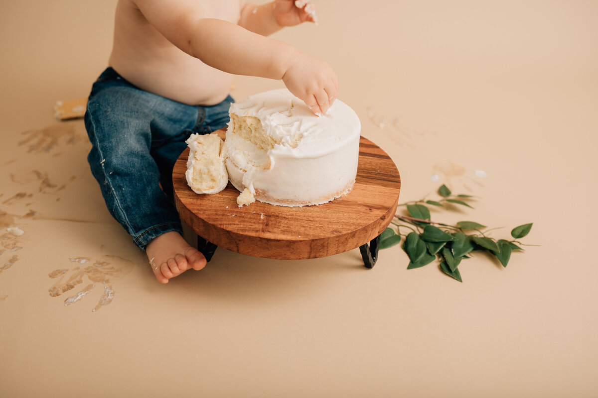 Canton CT Cake Smash Photographer | Connecticut First Birthday Photography-8