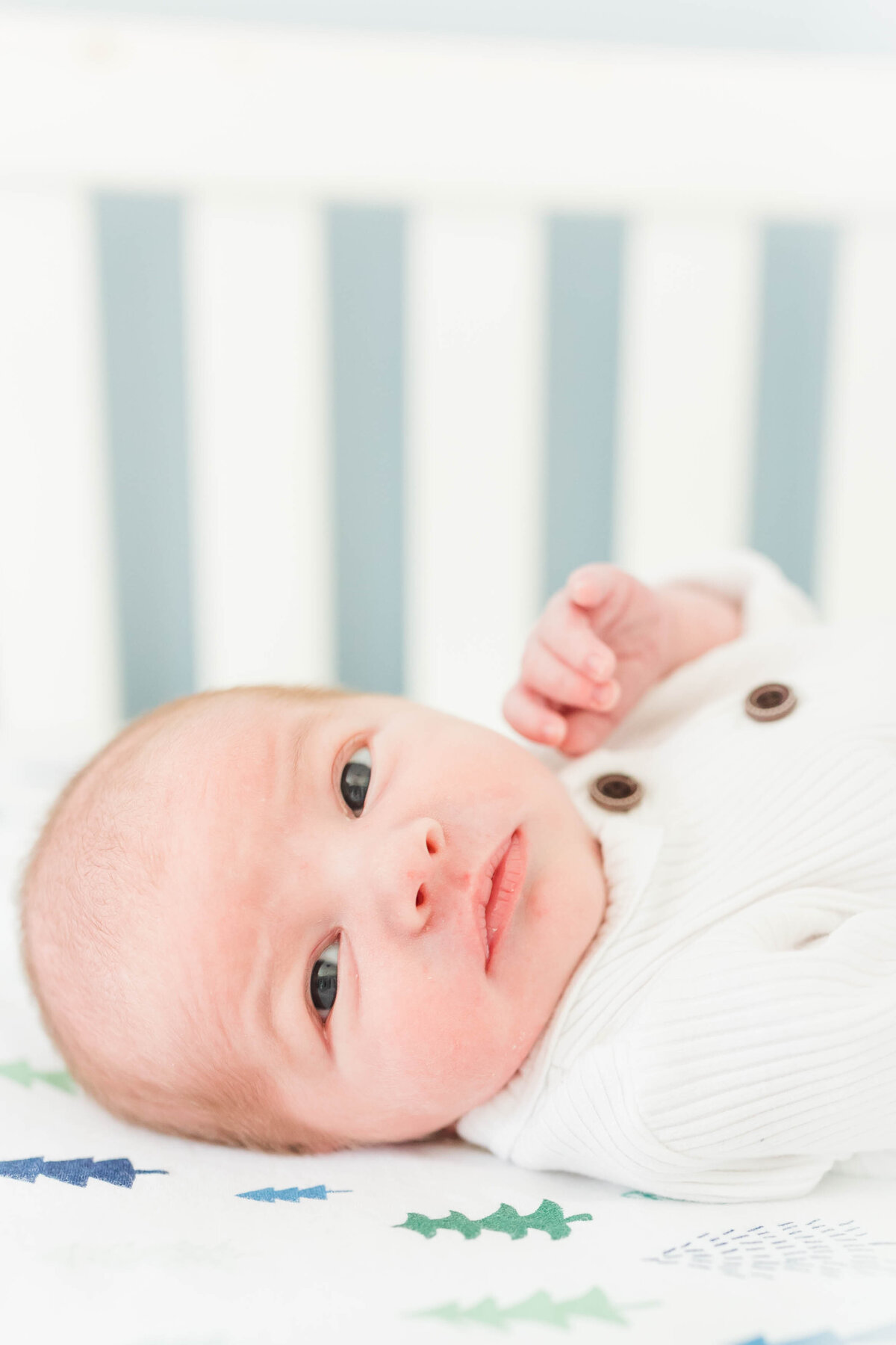Richmond Newborn Photographer | Ashley Edmunds16