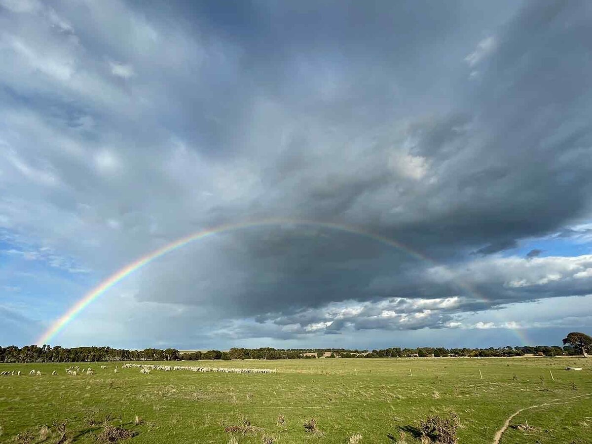 Sustainable Wool Farming