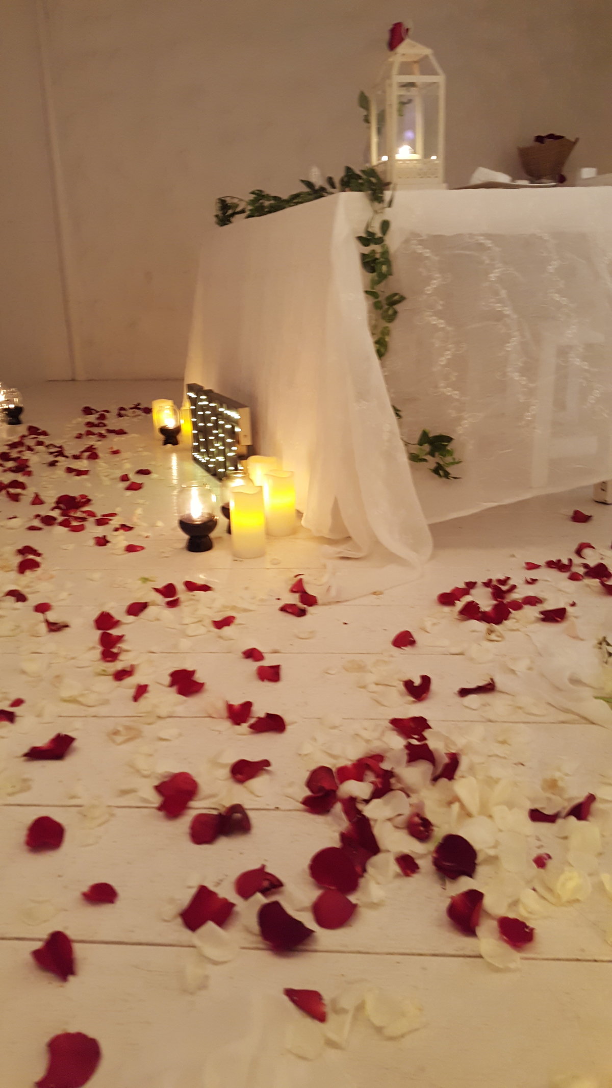 Koh Tao Wedding Proposal Thailand (3)