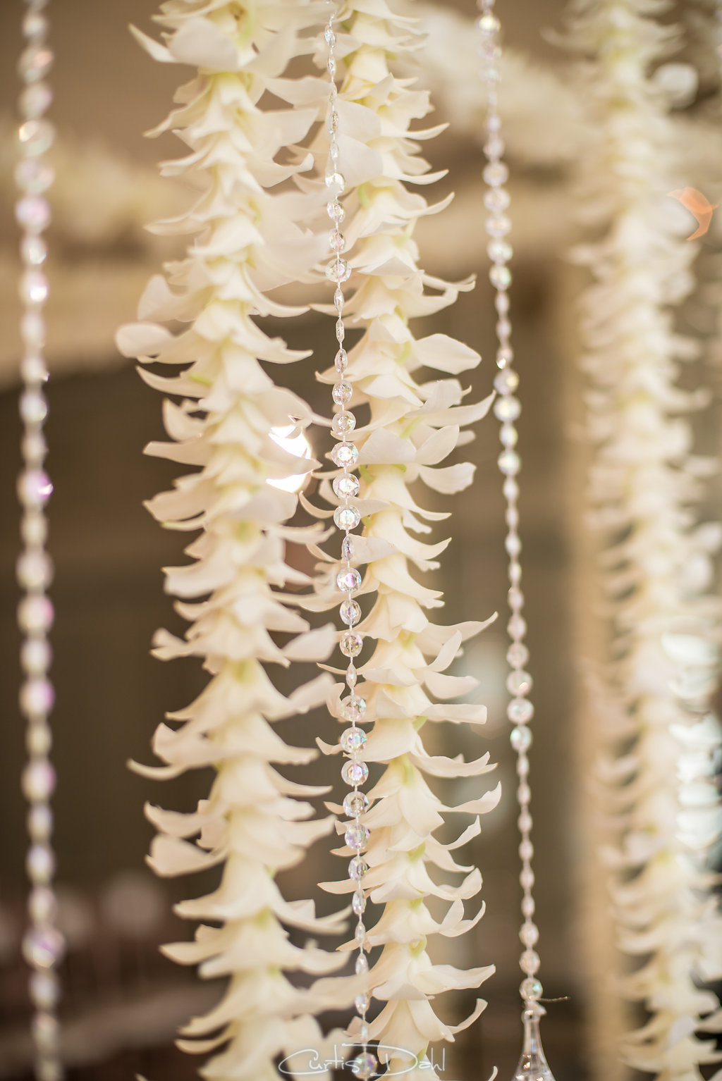 white orchids and crystals hanging from chuppah