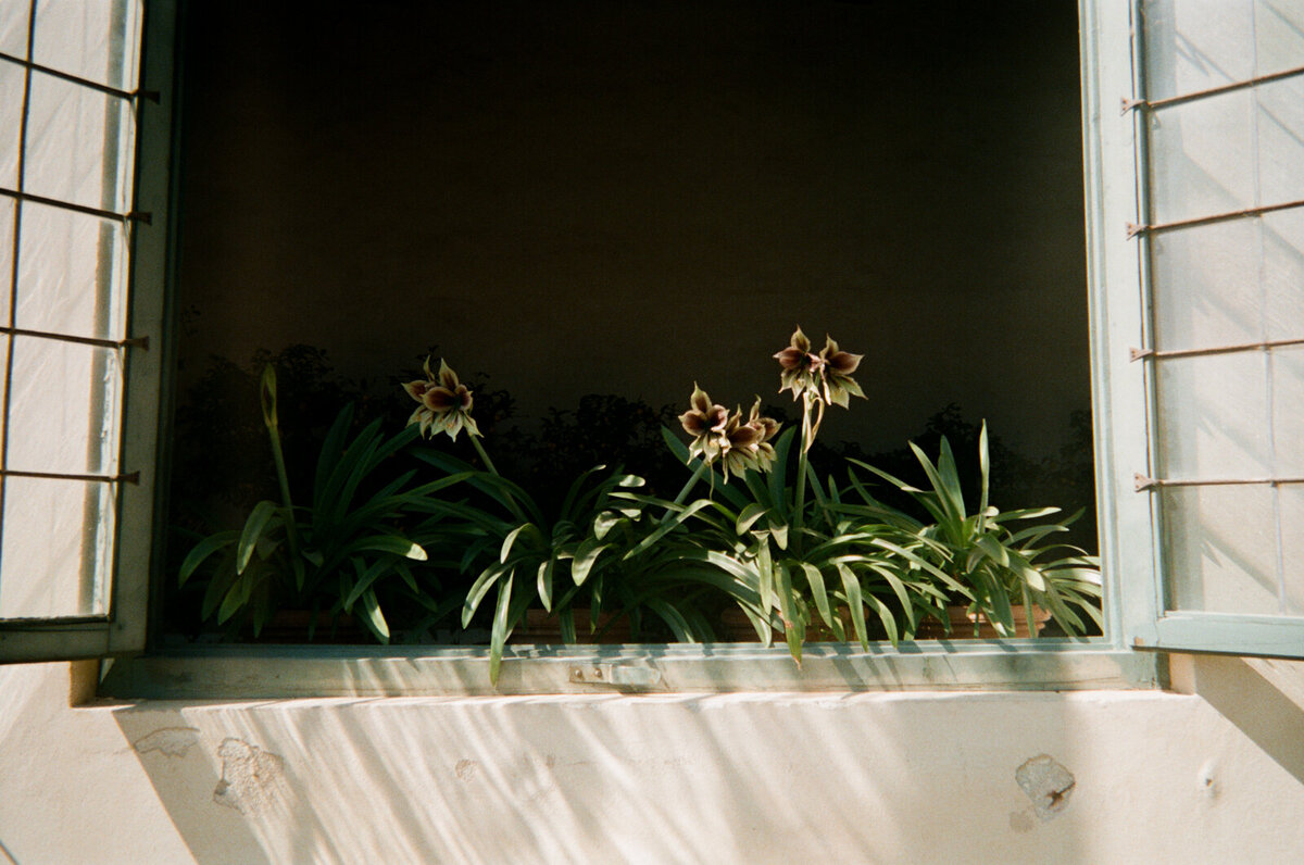 italy-film-photographer-melissa-wahler-1