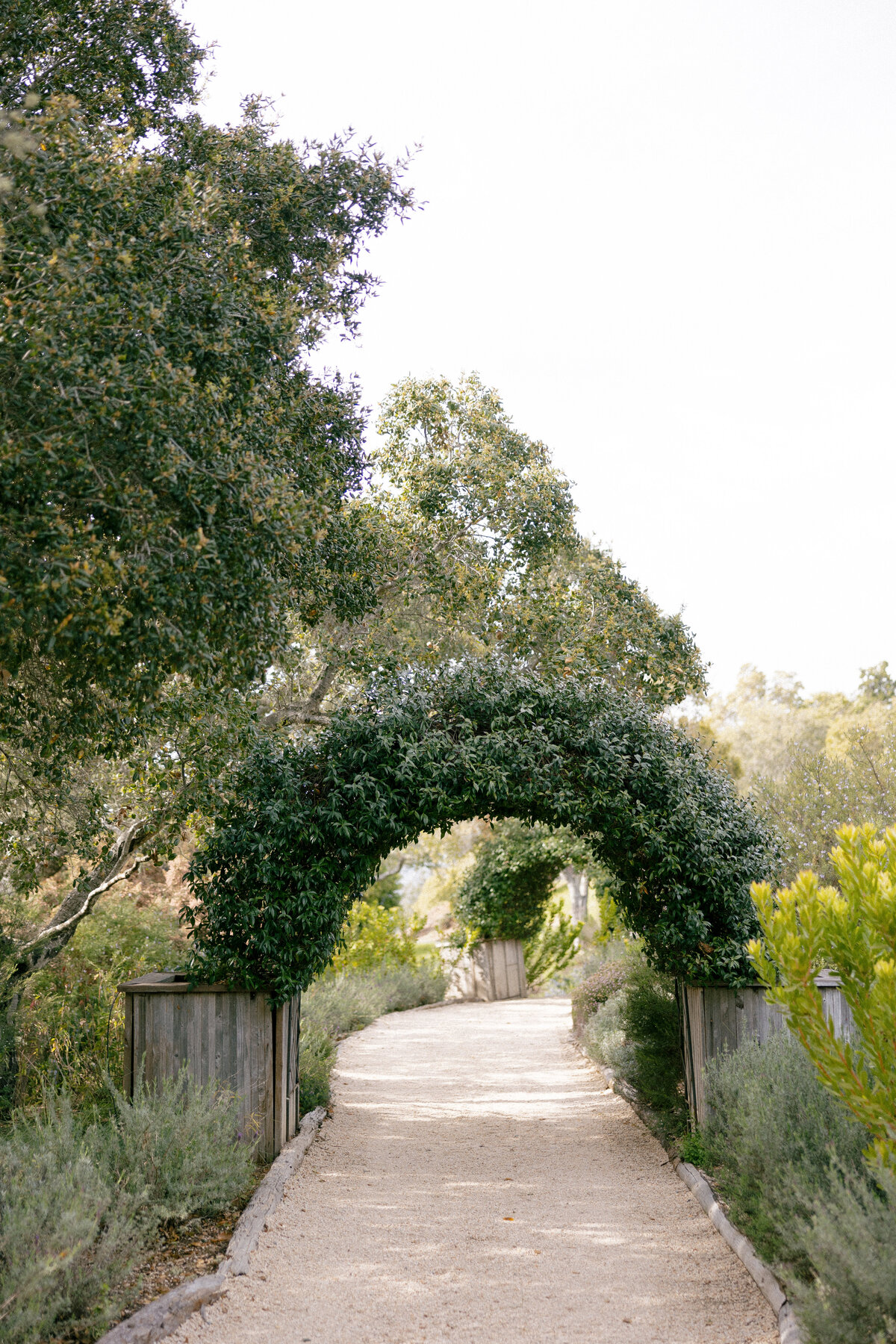 Ventana-Big-Sur-Wedding-Photographer-26