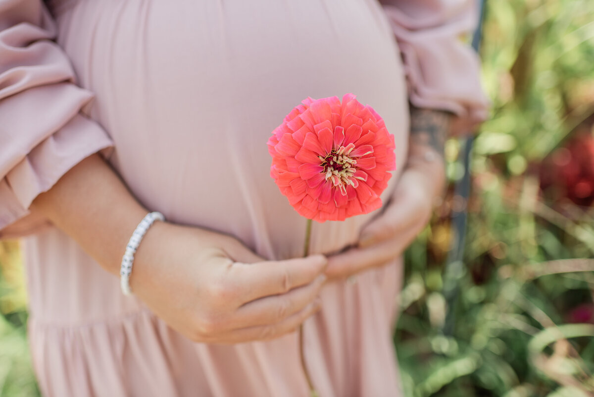 Close-up of an expecting mother holding a pink flower against her baby bump, wearing a soft blush dress – Maryland maternity photography session
