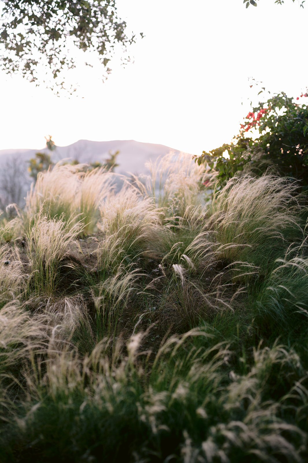 06.28.25_jacqueline and alex_erica streelman photo-491