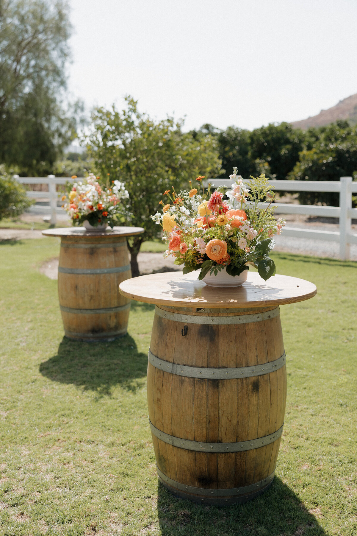 Rancho Guejito Wedding 003