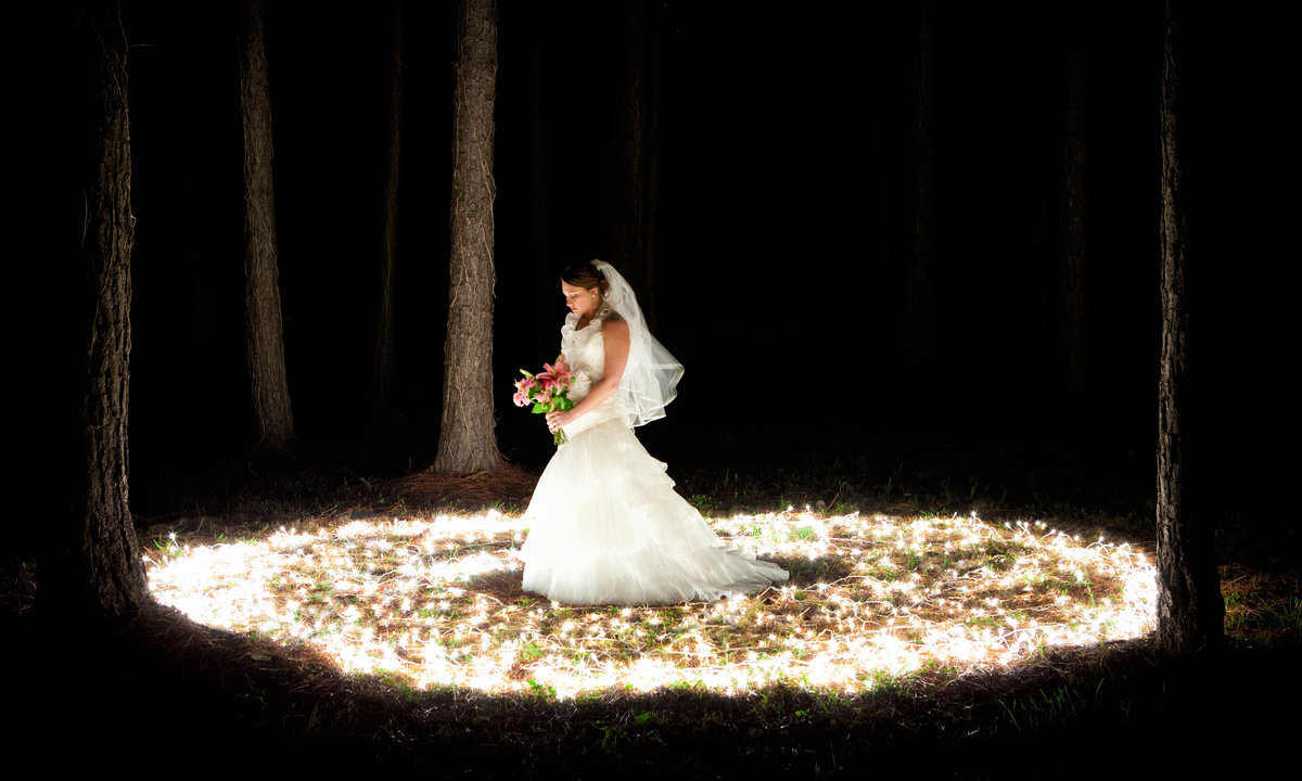 Lauren Eddins epic bridal portrait in Coden, Alabama.
