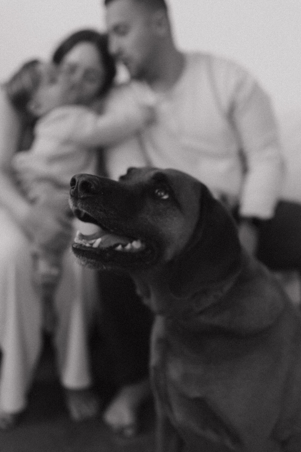 Family-2